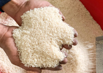 Peraturan baharu digubal kuat kuasa spesifikasi gred beras putih